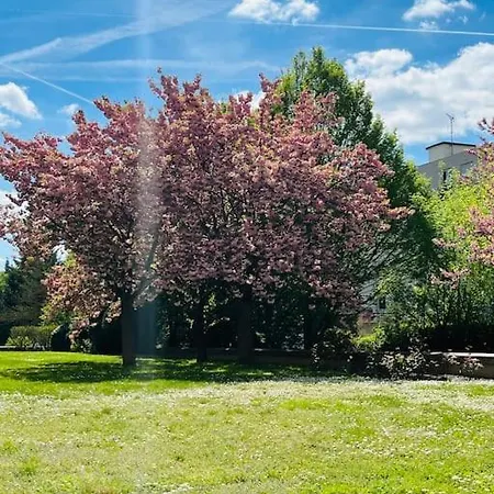 Situe A 5 Min Du Chateau De Et Stationnement Gratuit * Versailles
